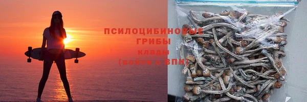 СК Куйбышев