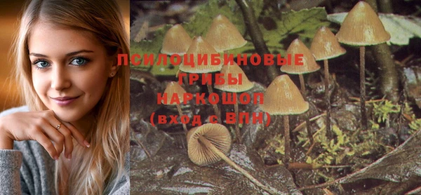 трава Кукмор