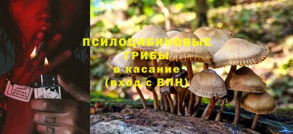 трава Кукмор