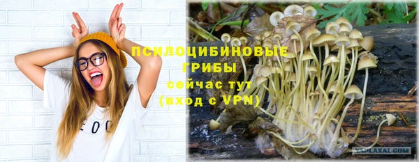 СК Куйбышев