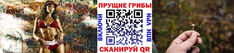 Псилоцибиновые грибы Psilocybine cubensis  Купить закладки  Арск 